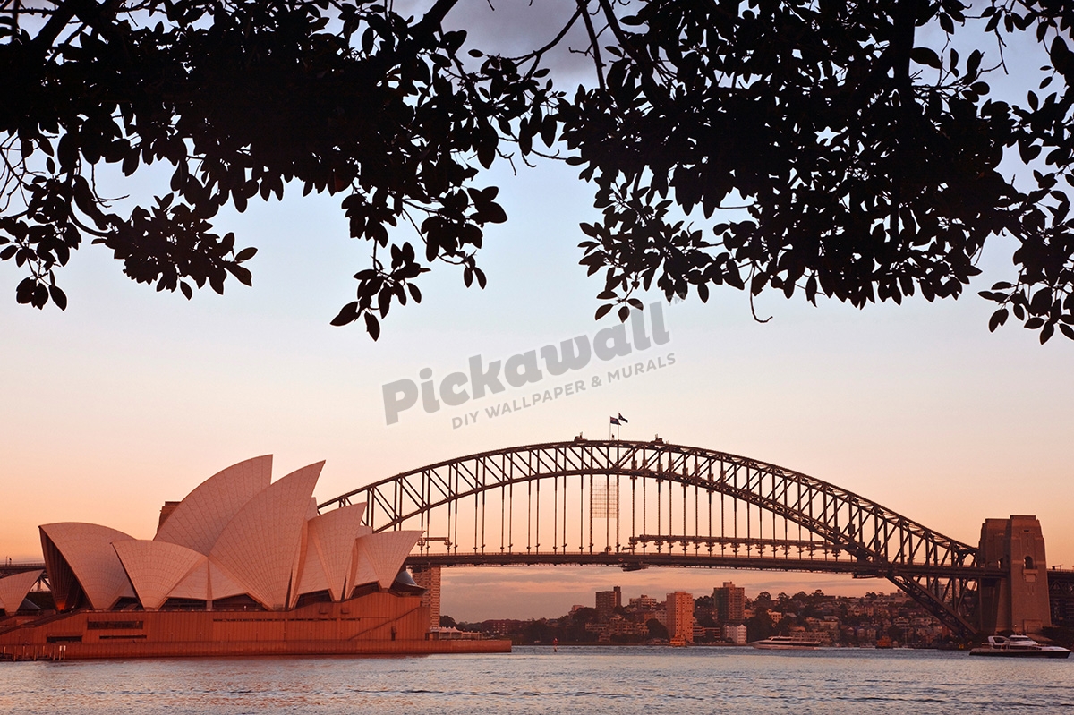 Sydney Sunset Pickawall