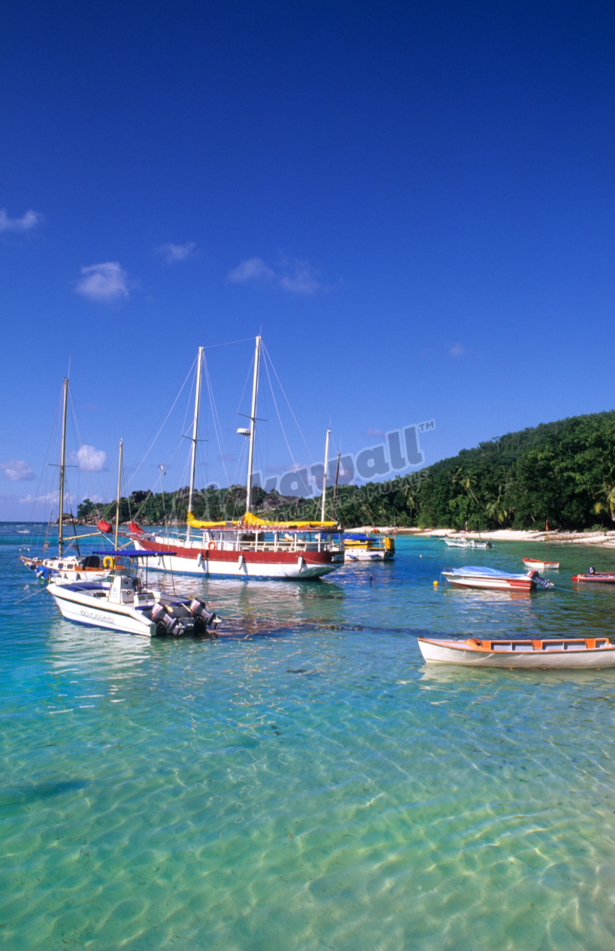 Ships sailboats, La Digue, Seychelle Islands Pickawall