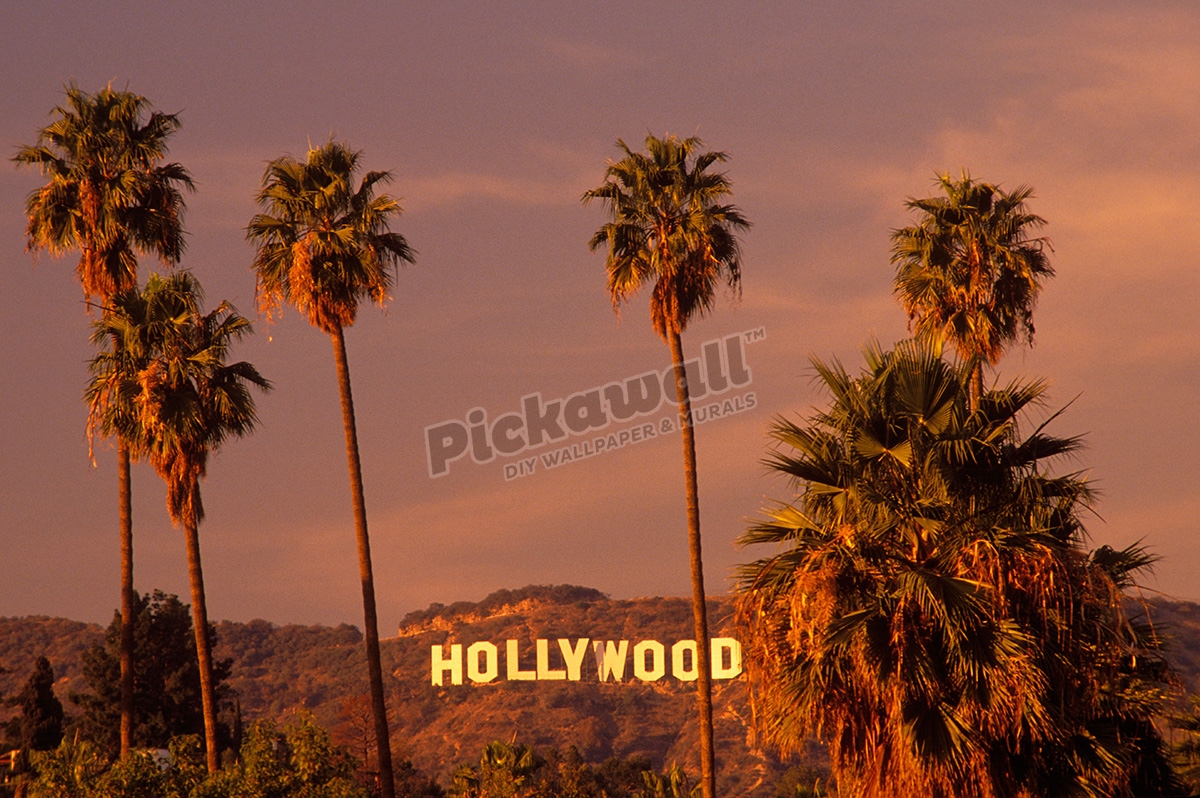 Hollywood sign and palm trees Hollywood Los Angeles California - Pickawall