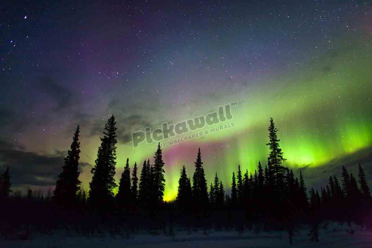 alaska northern lights