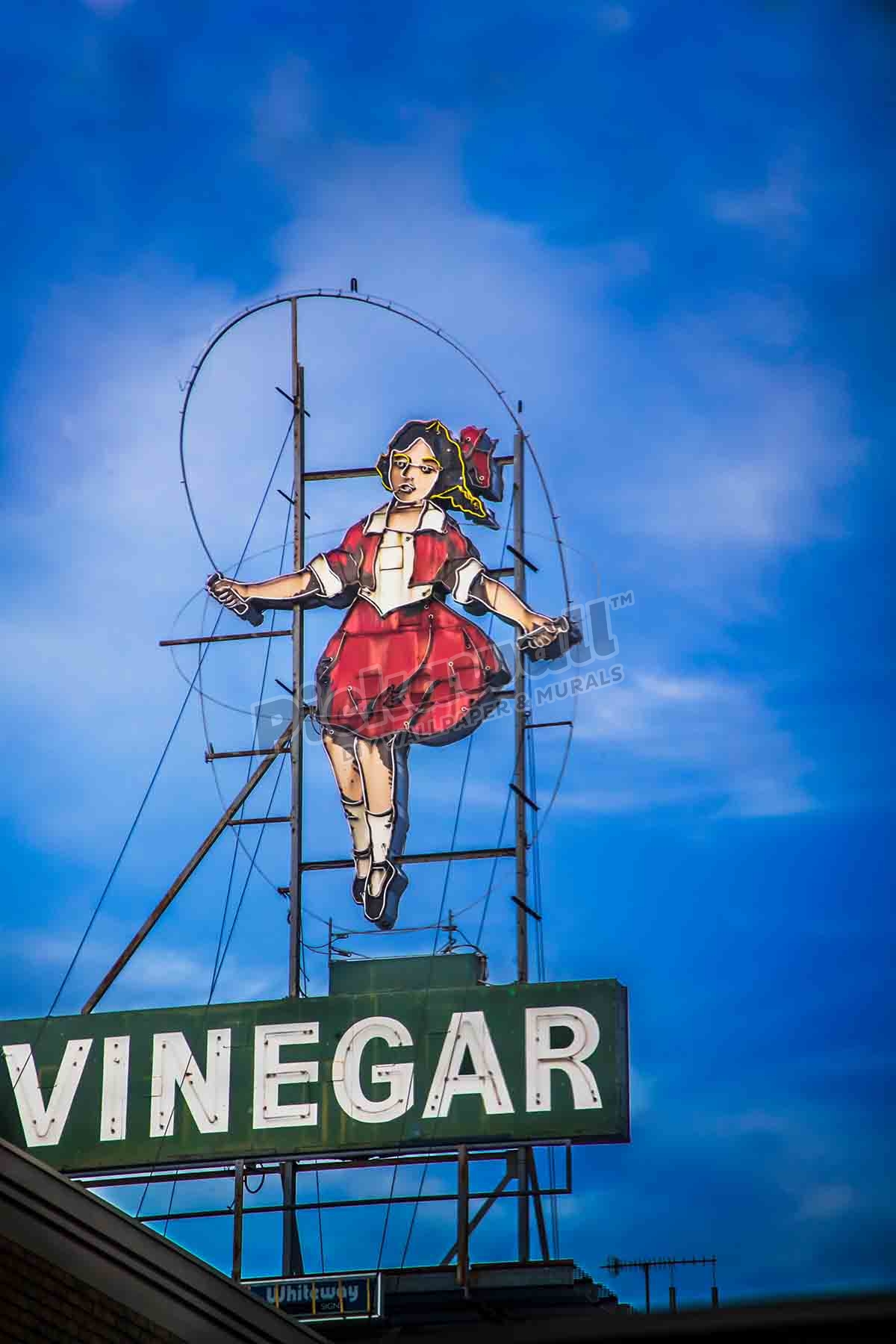 Skipping Girl Vinegar Pickawall