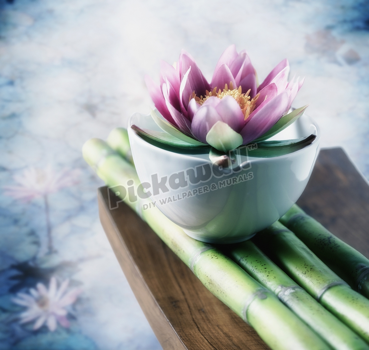 Lotus flower balanced on a bowl Pickawall