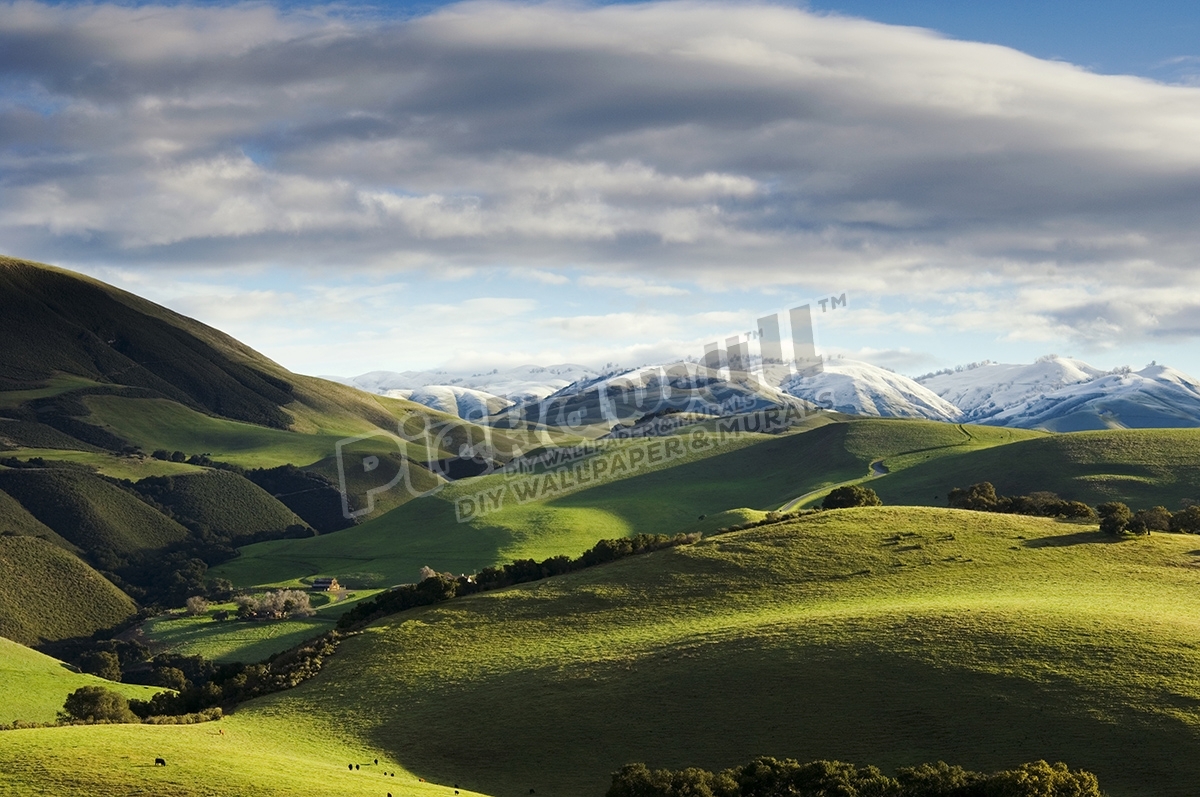 Winter snowfall on Berta Ranch, Carmel Valley. Pickawall